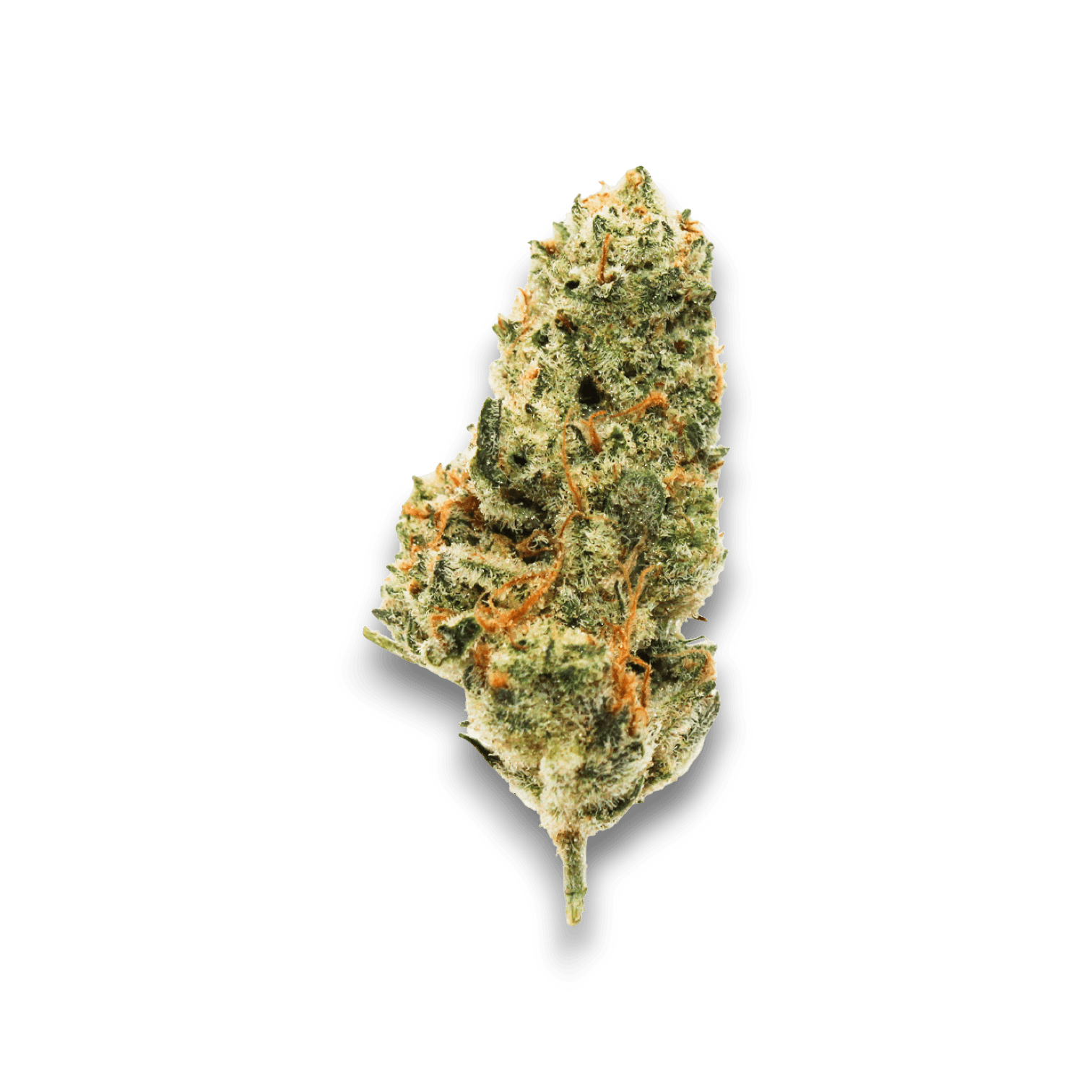 Med. Cannabis