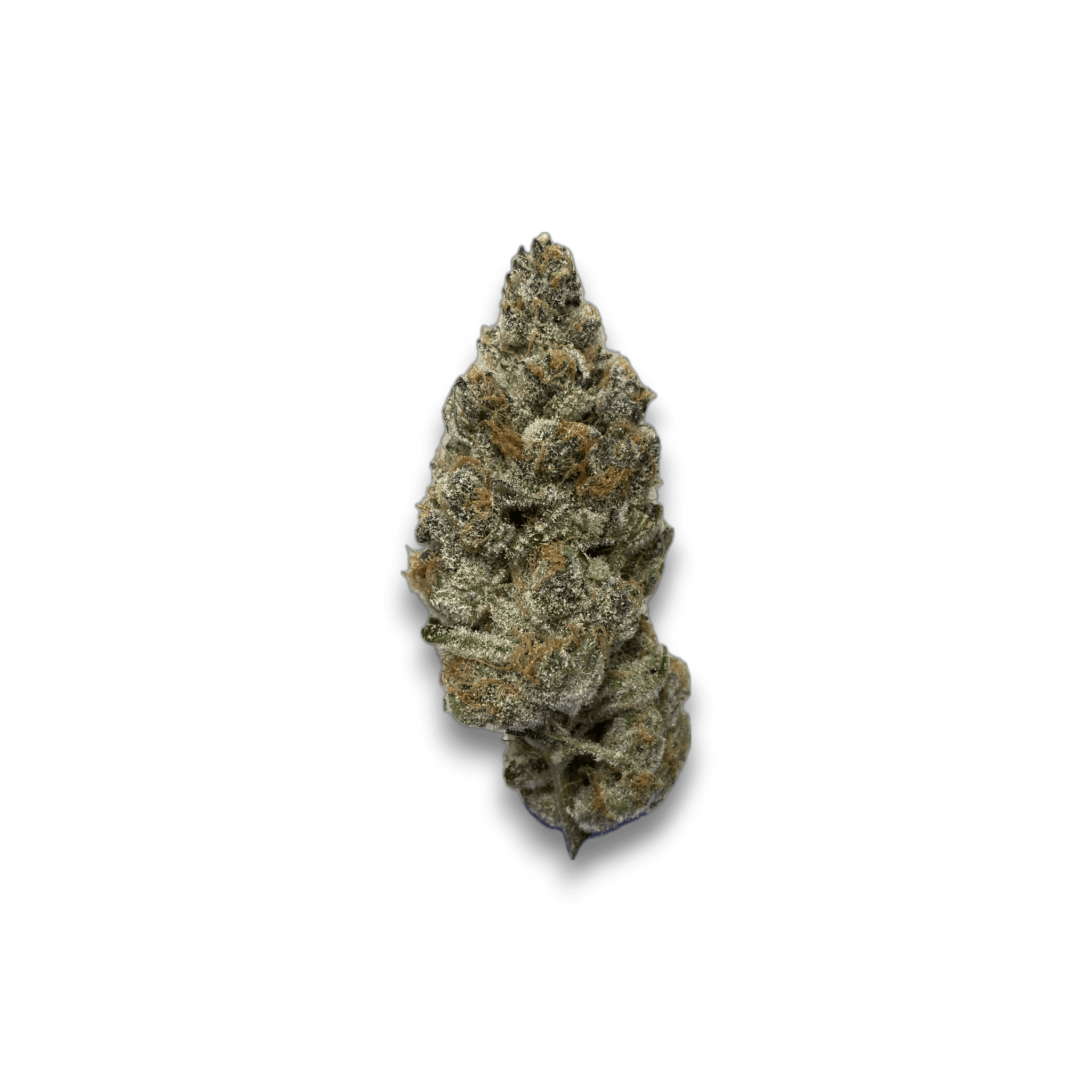 Med. Cannabis