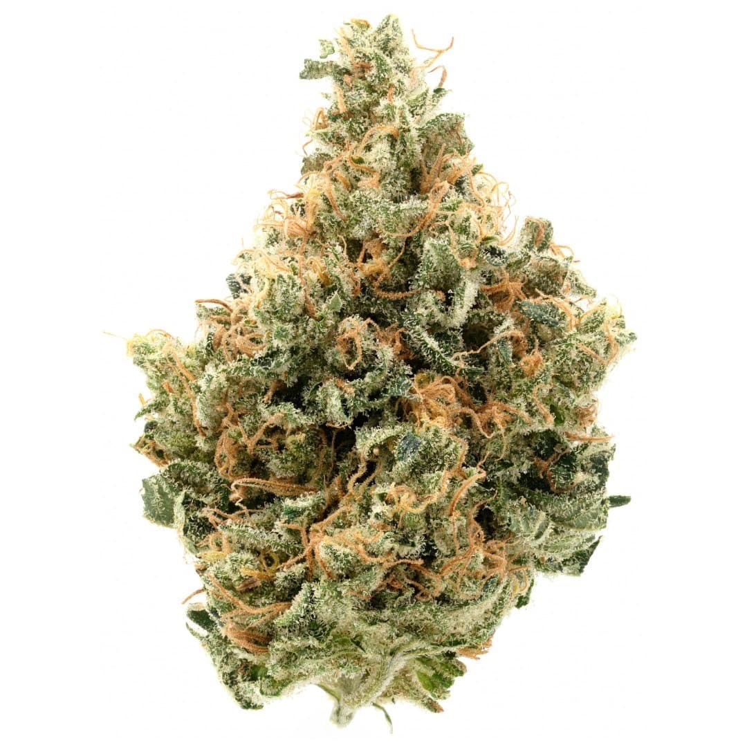 Med. Cannabis