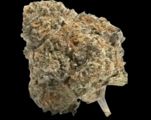 Med. Cannabis