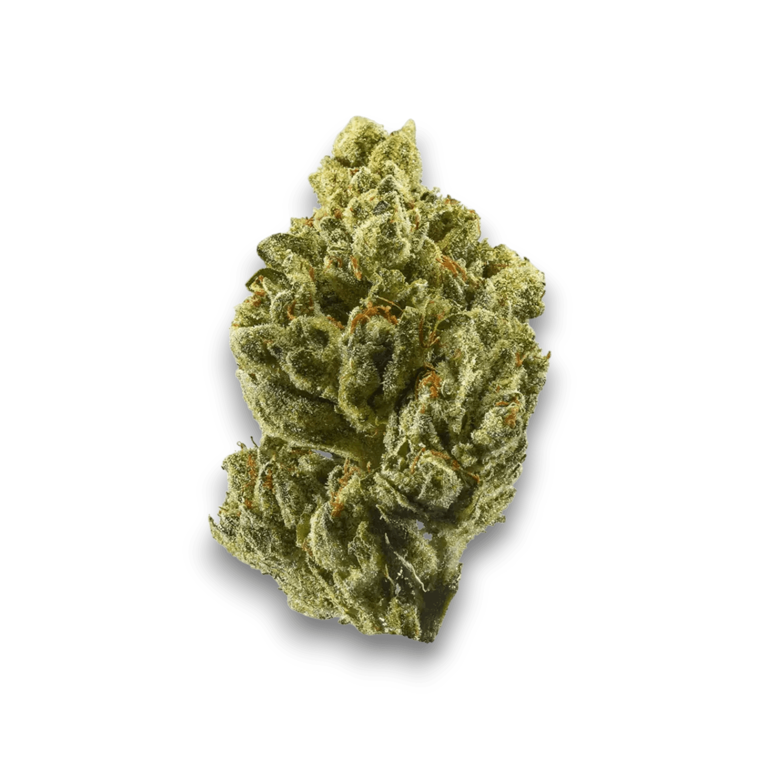 Med. Cannabis