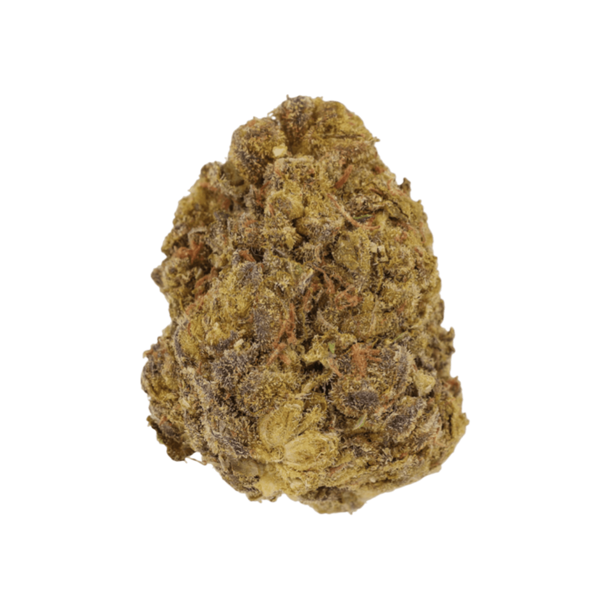 CM 24/1 Rainbow Cookies