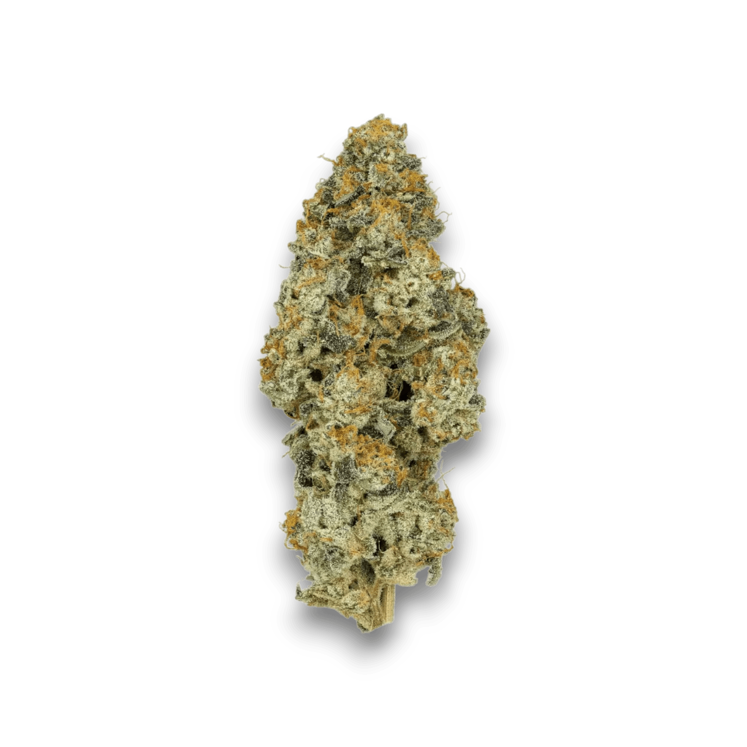 Med. Cannabis
