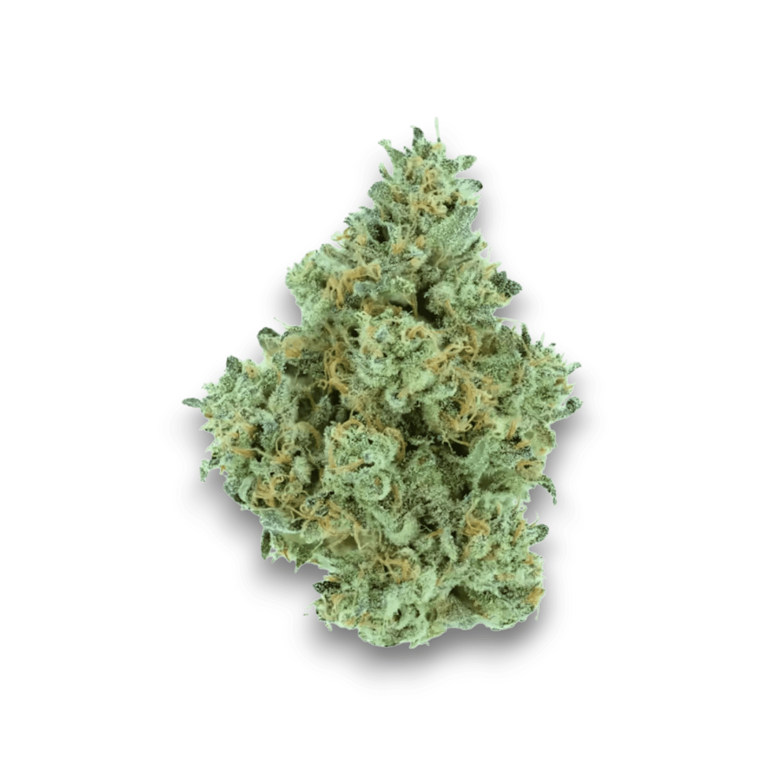 Med. Cannabis