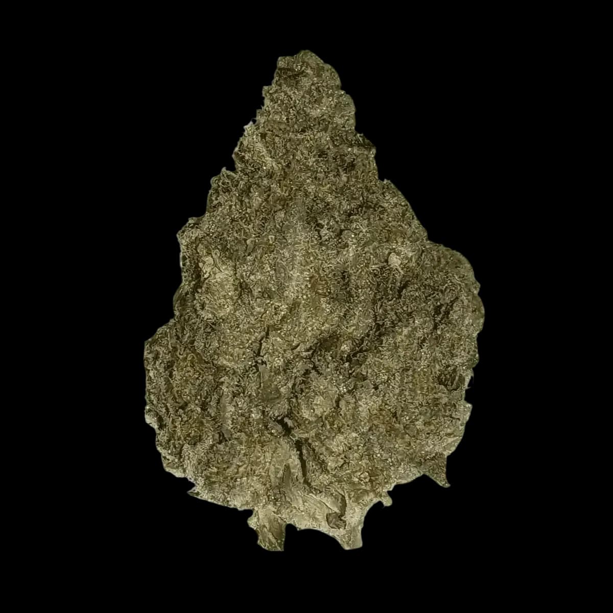 Med. Cannabis