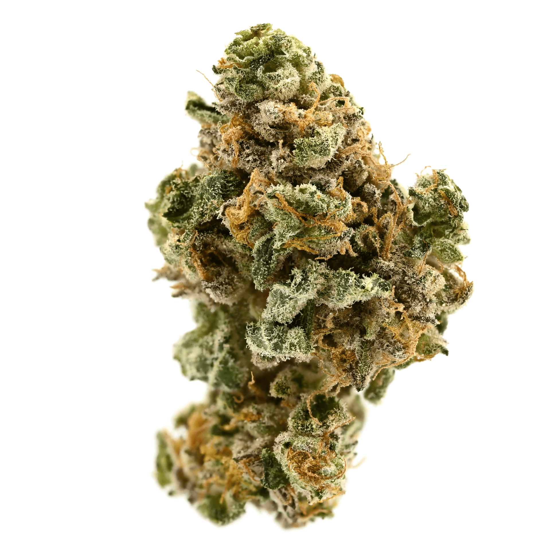 Med. Cannabis