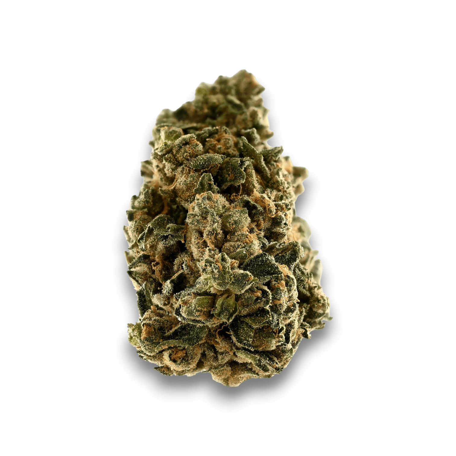 Med. Cannabis