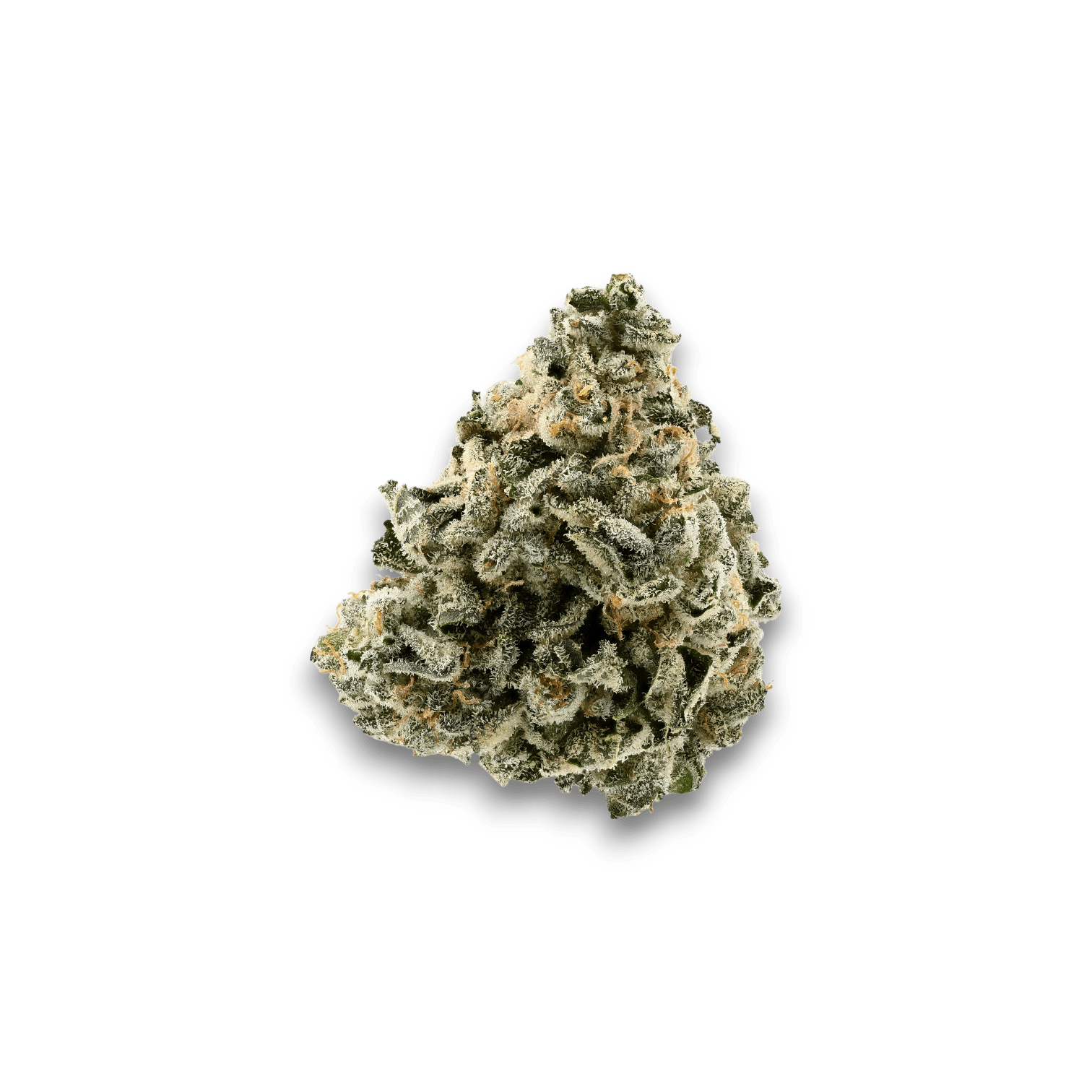 Med. Cannabis