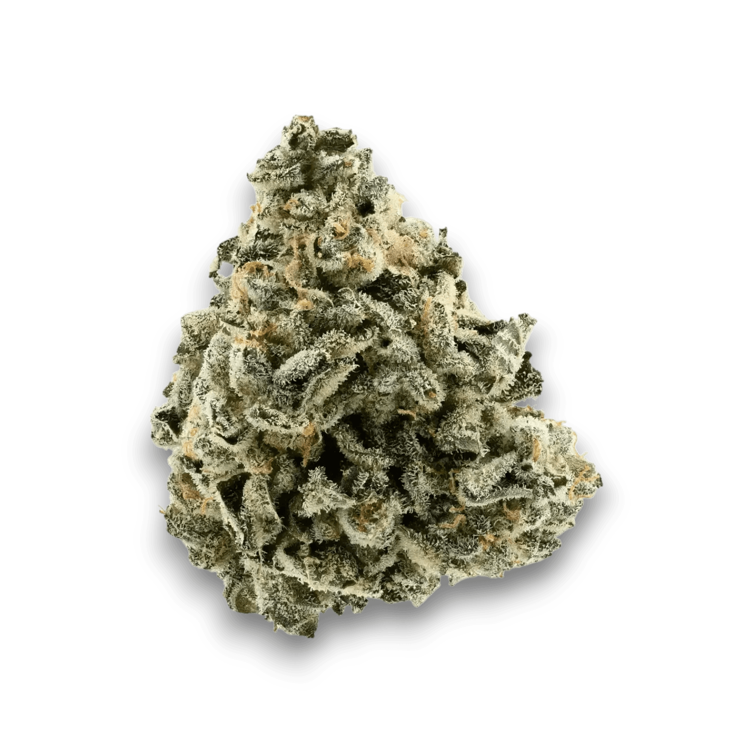 Med. Cannabis