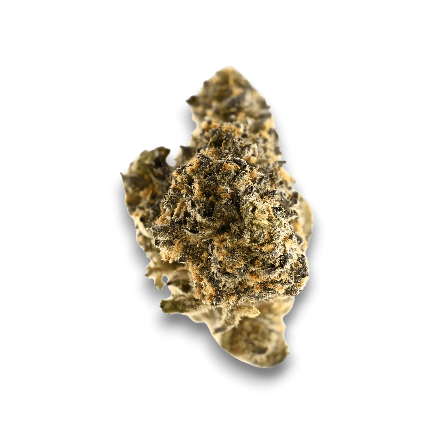 Med. Cannabis
