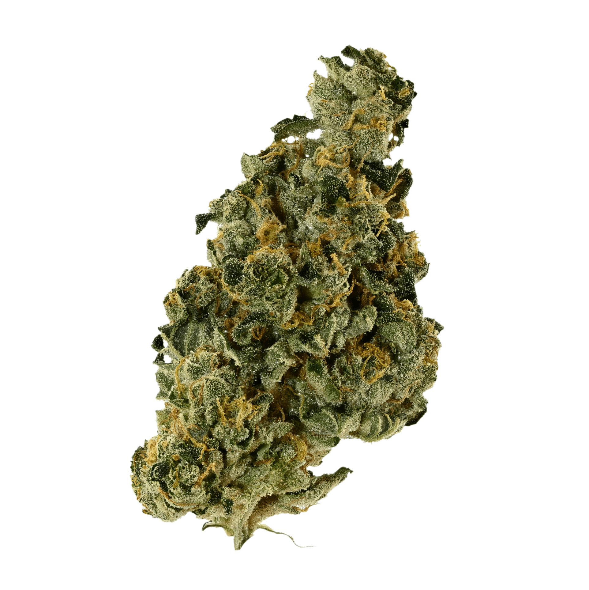 Med. Cannabis