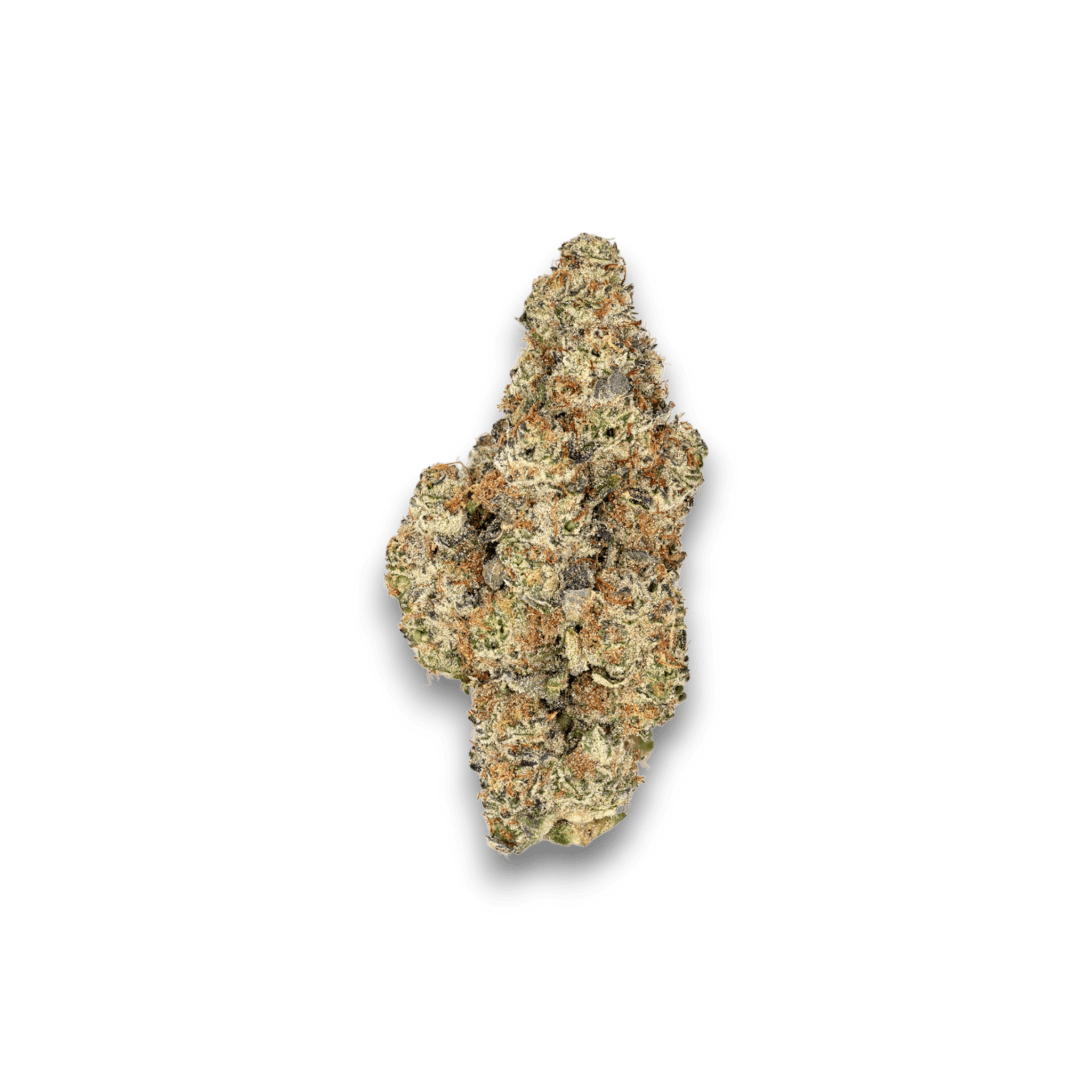 Med. Cannabis