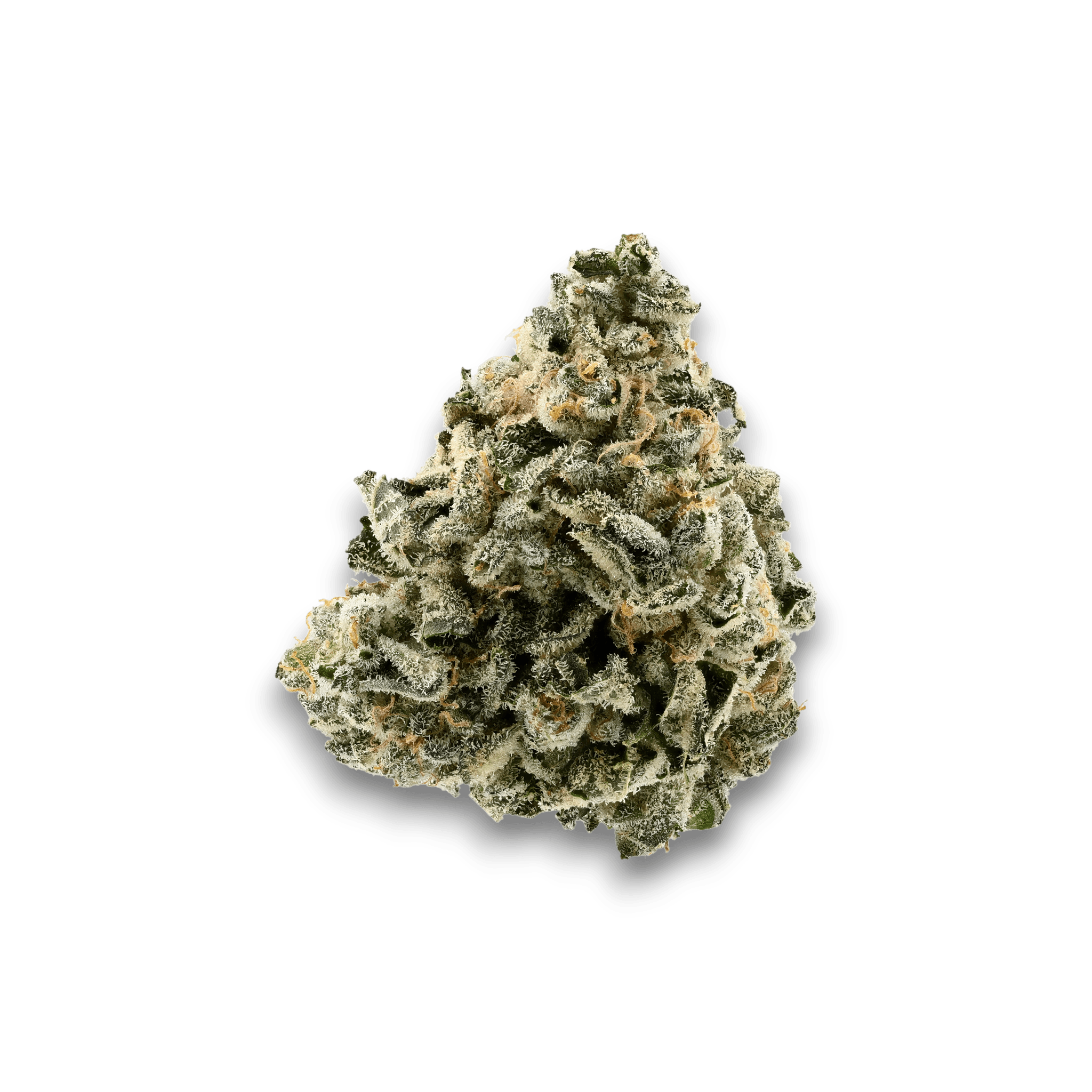 Med. Cannabis