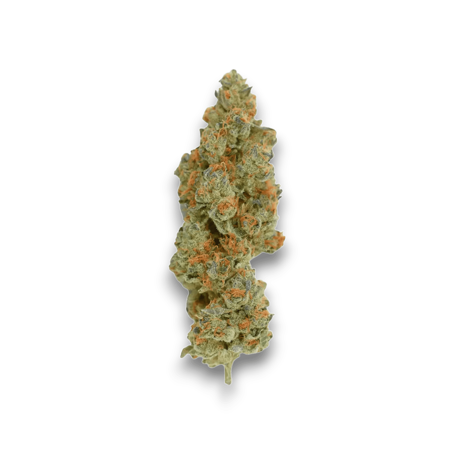 Med. Cannabis