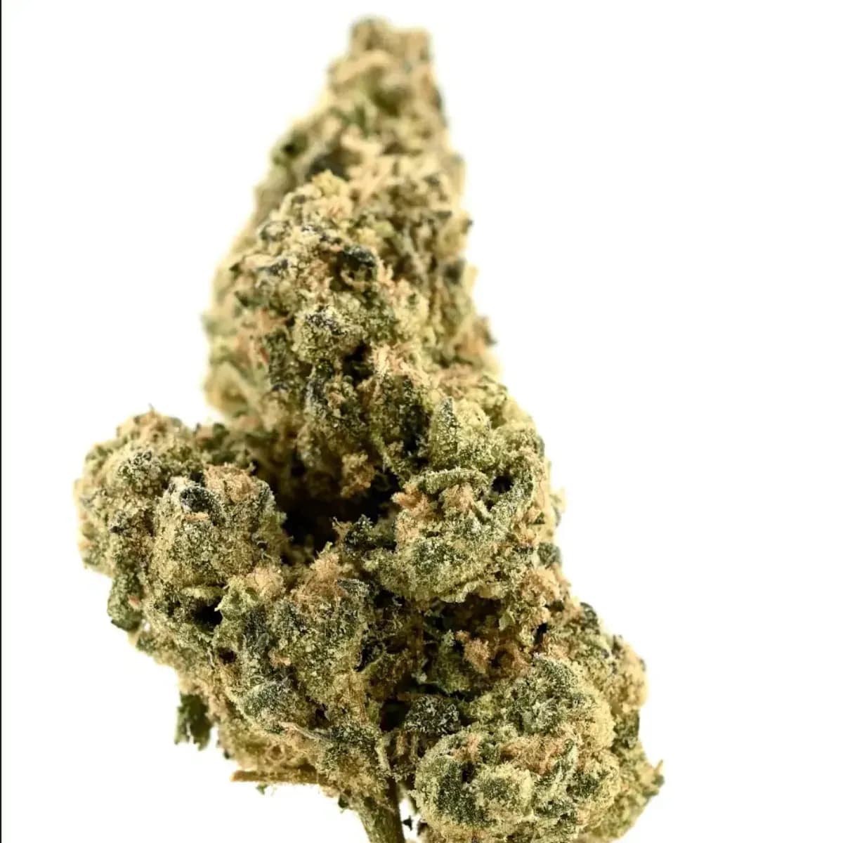 Med. Cannabis