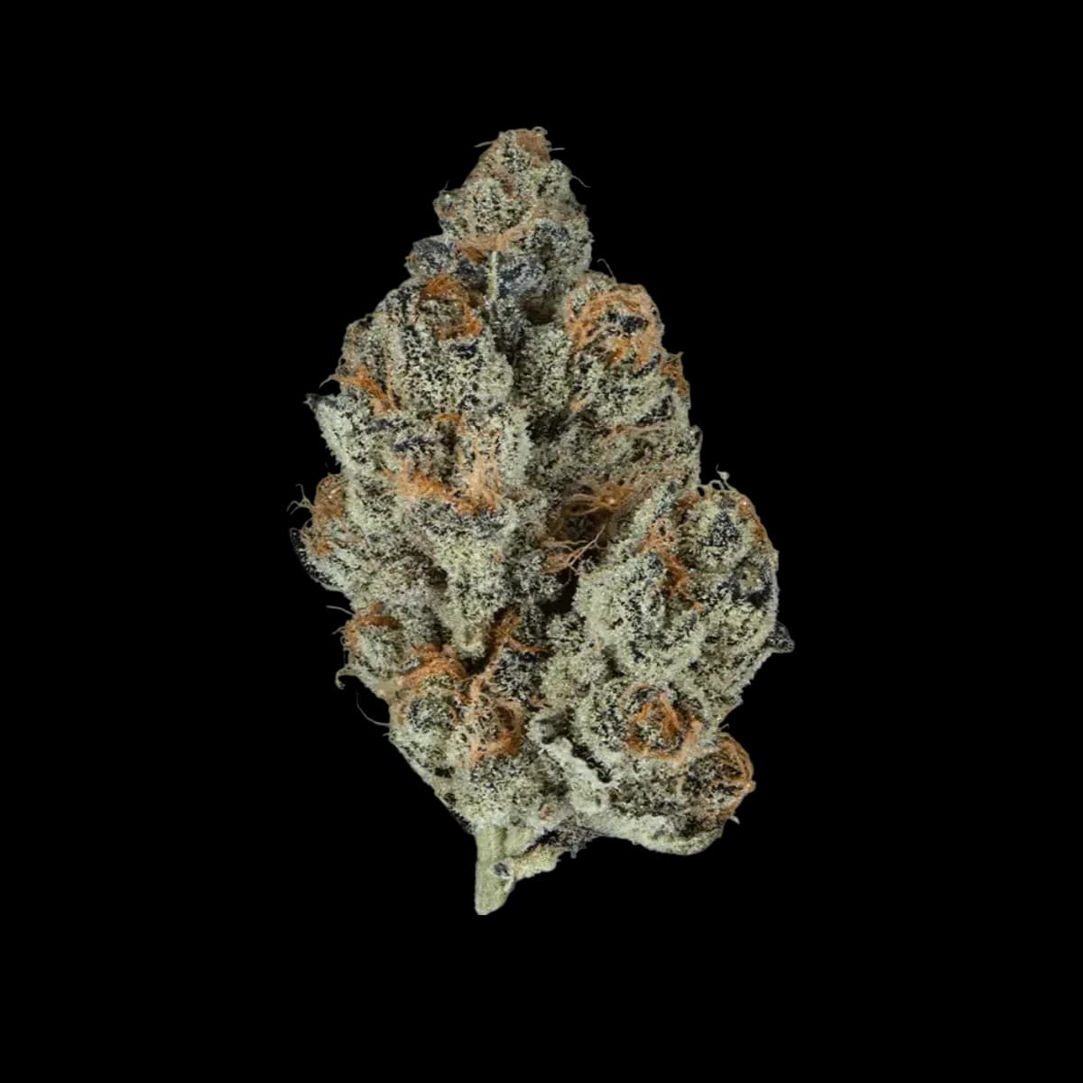 Med. Cannabis
