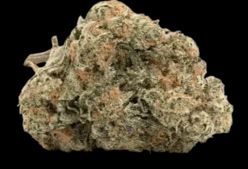 Med. Cannabis