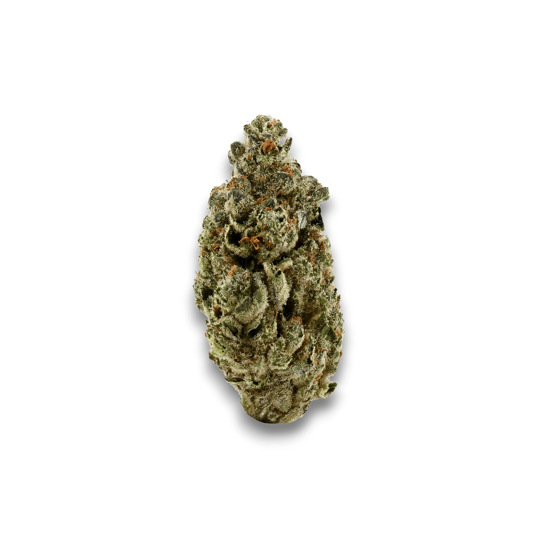 Med. Cannabis