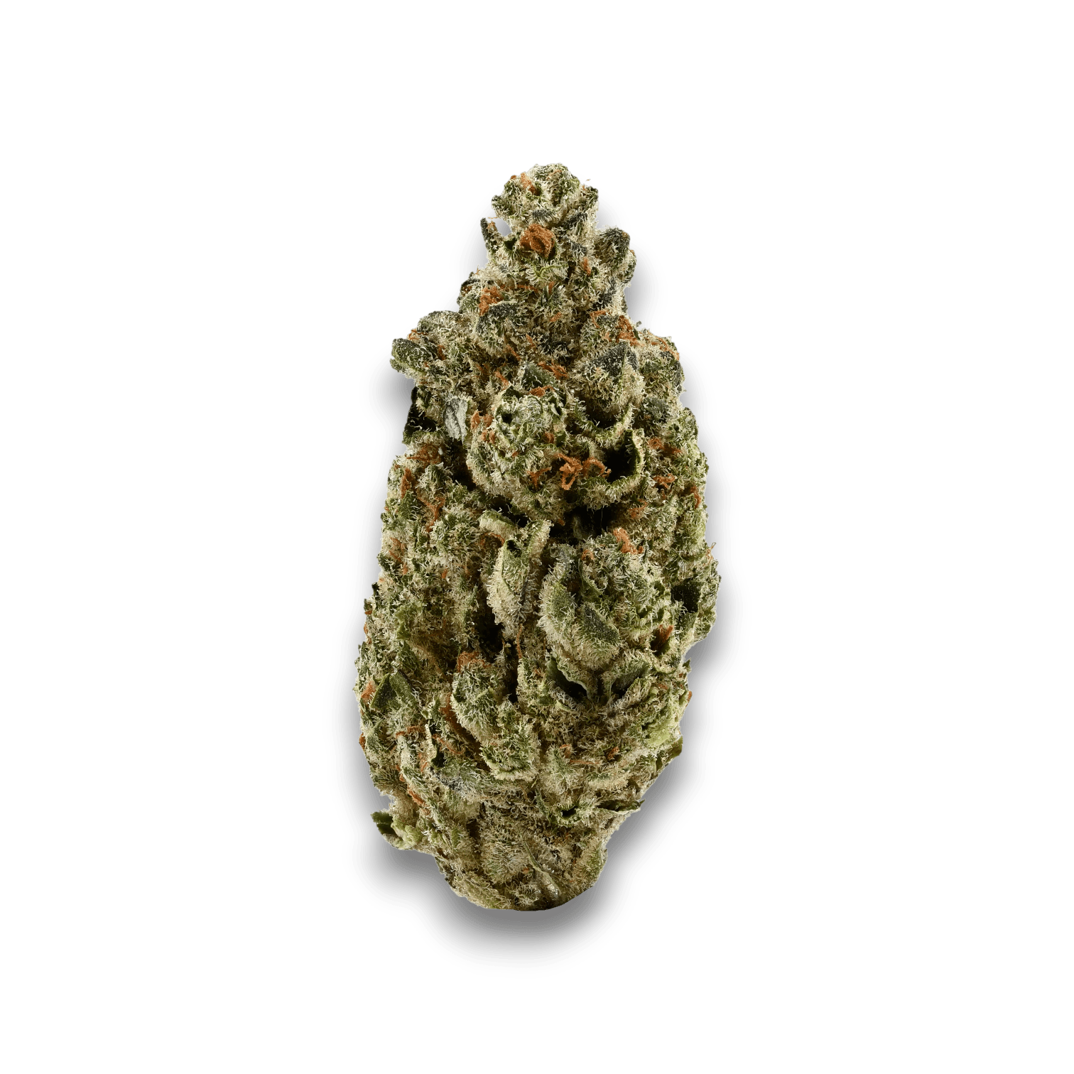 Med. Cannabis