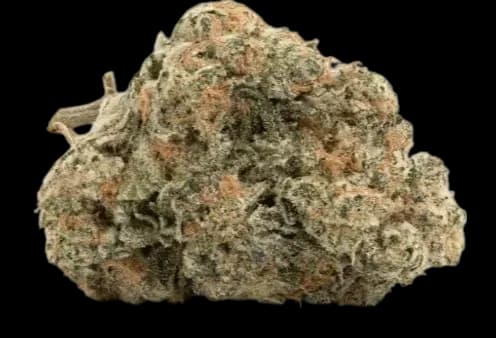 Med. Cannabis