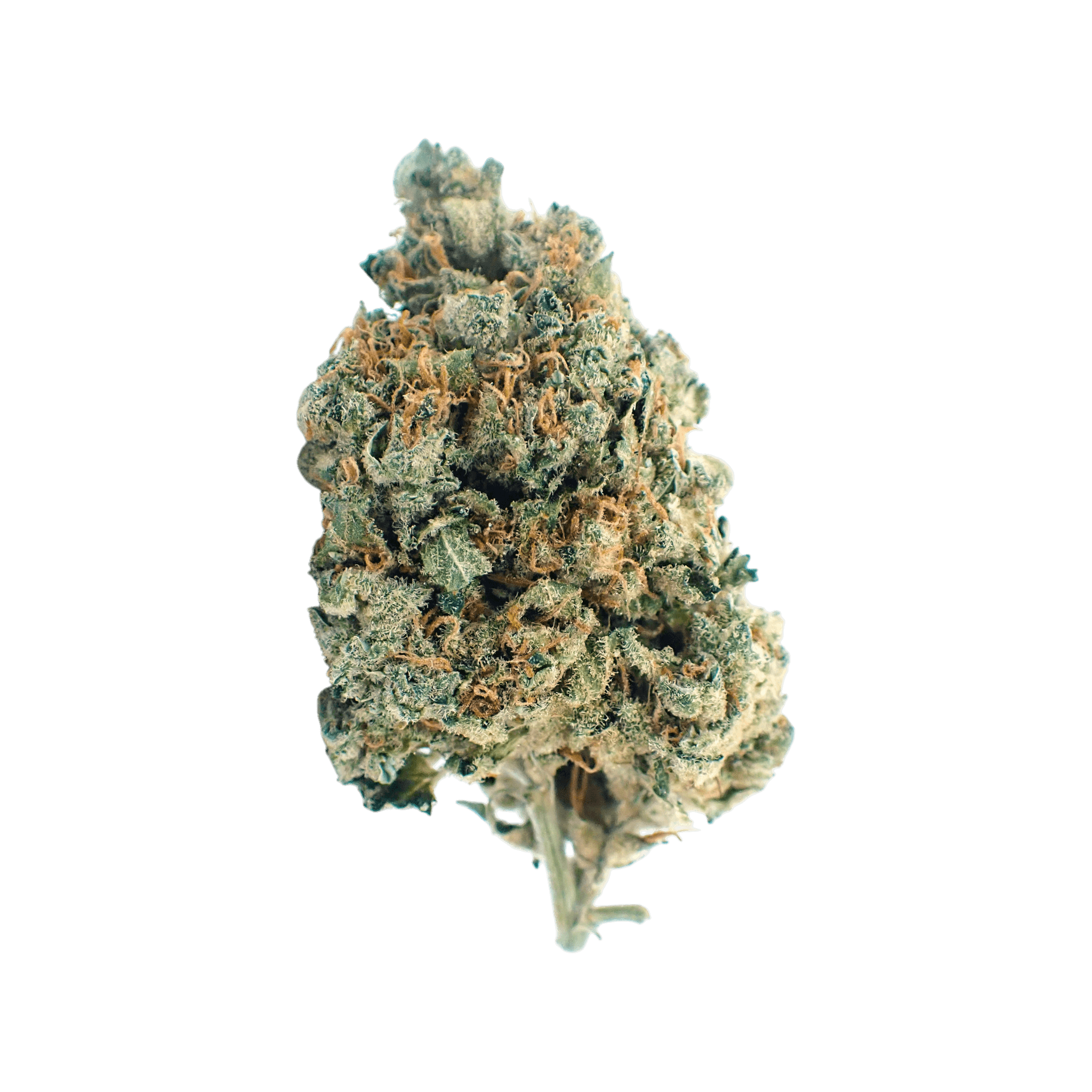Med. Cannabis