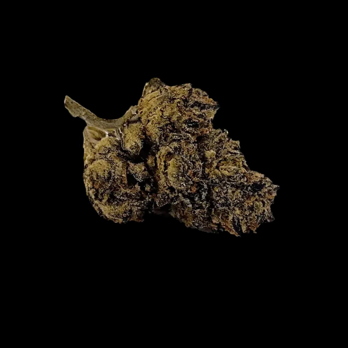 Dirty Zprite/24