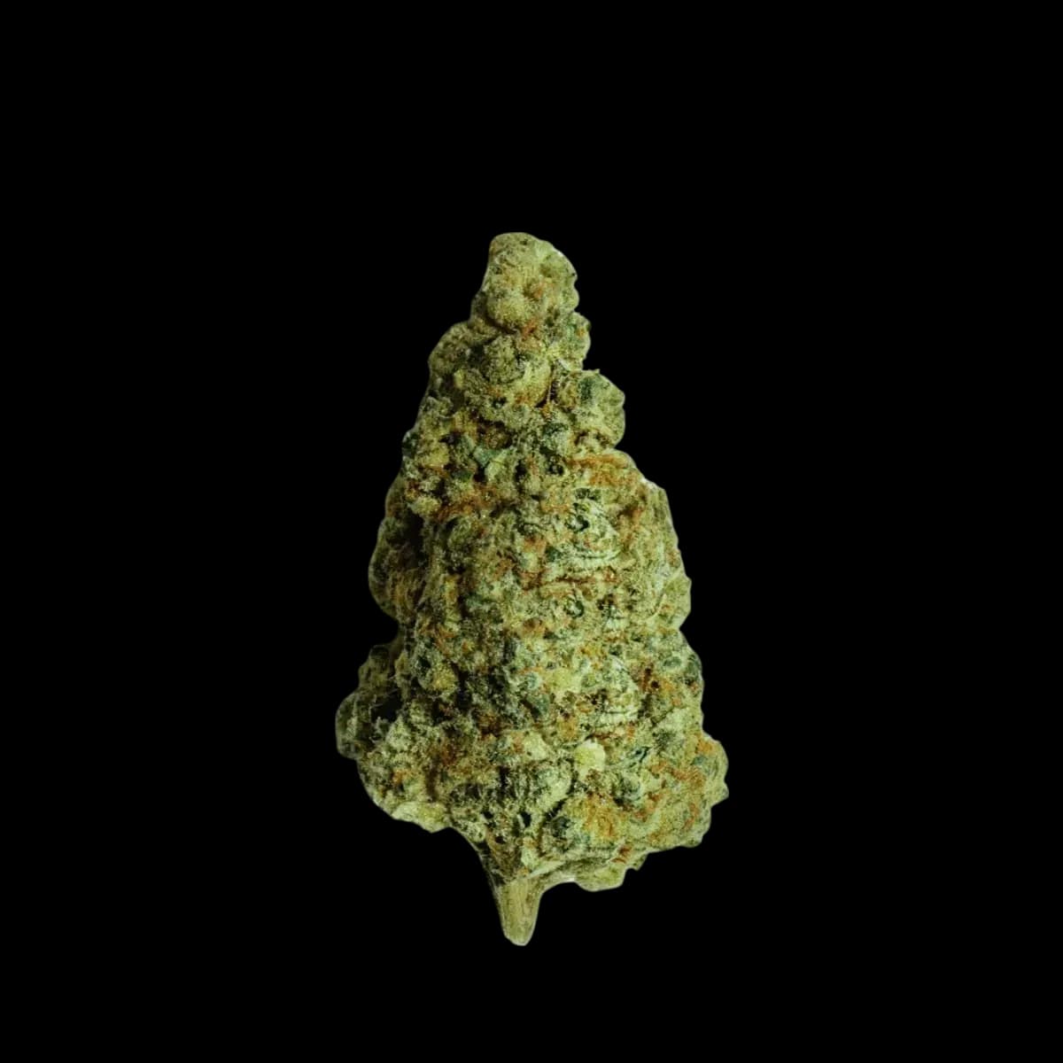 Med. Cannabis