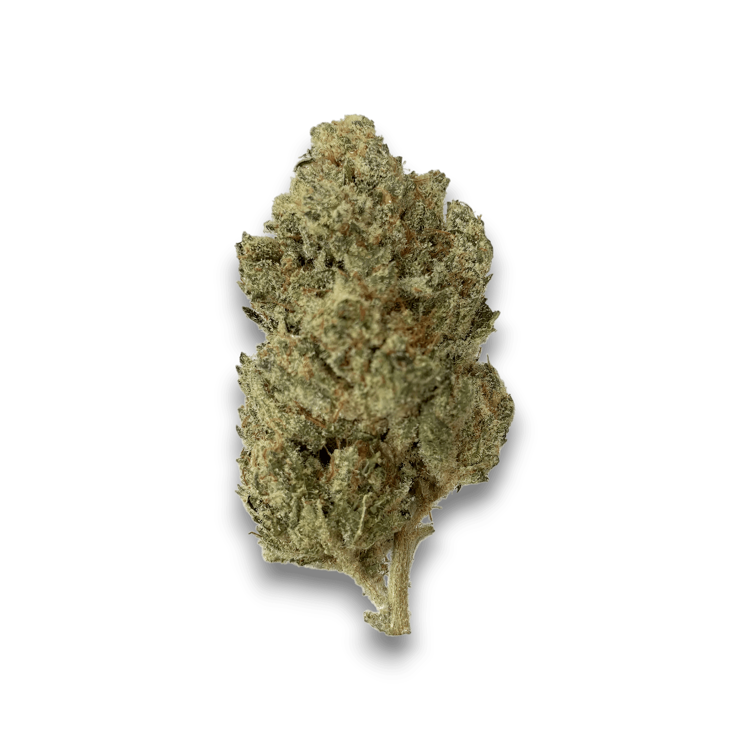 Med. Cannabis