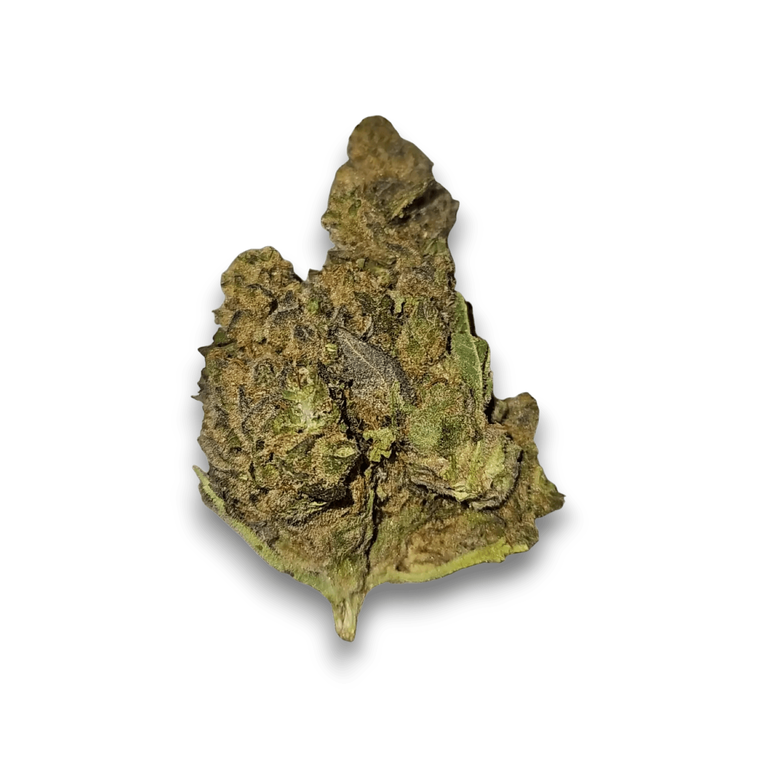Med. Cannabis