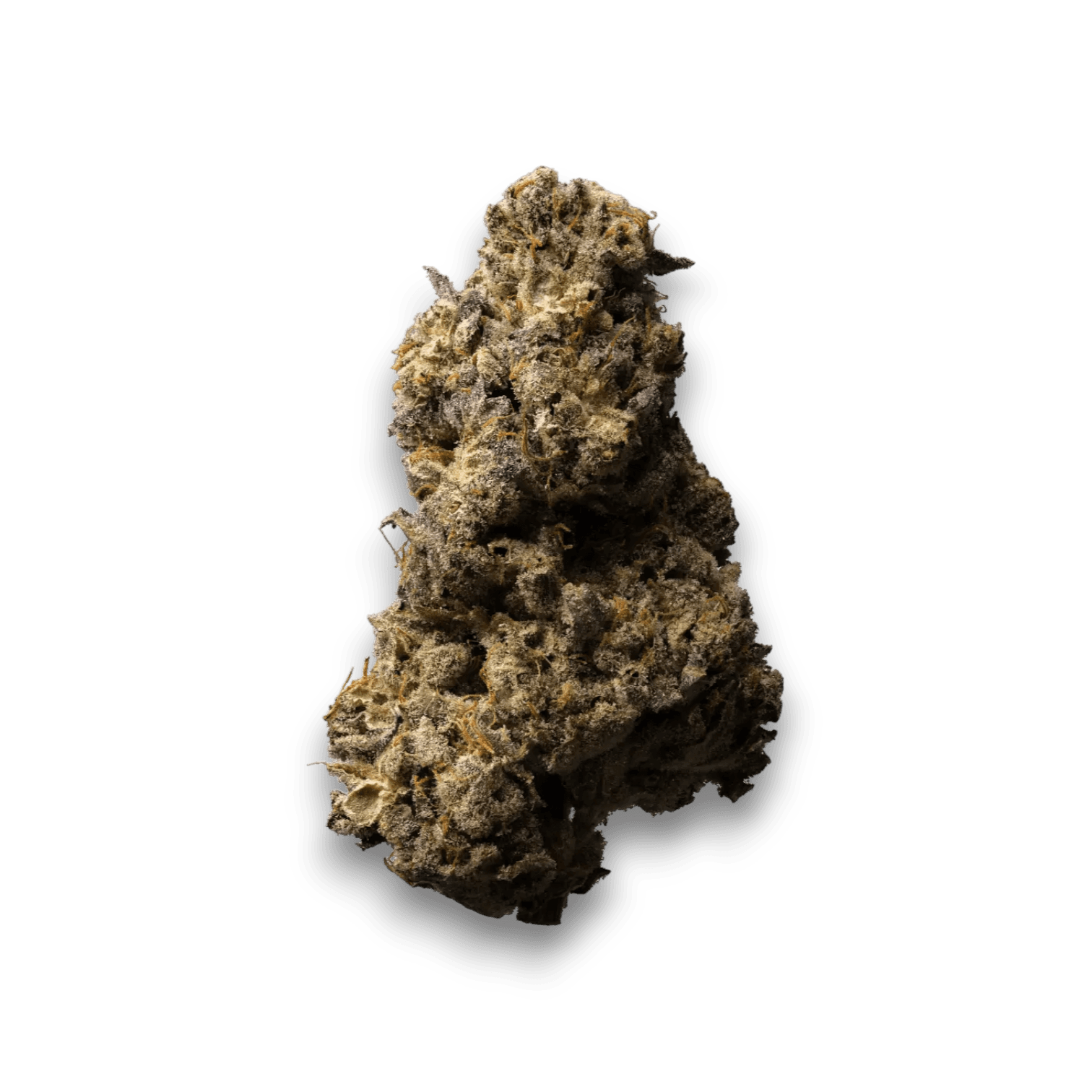 Med. Cannabis