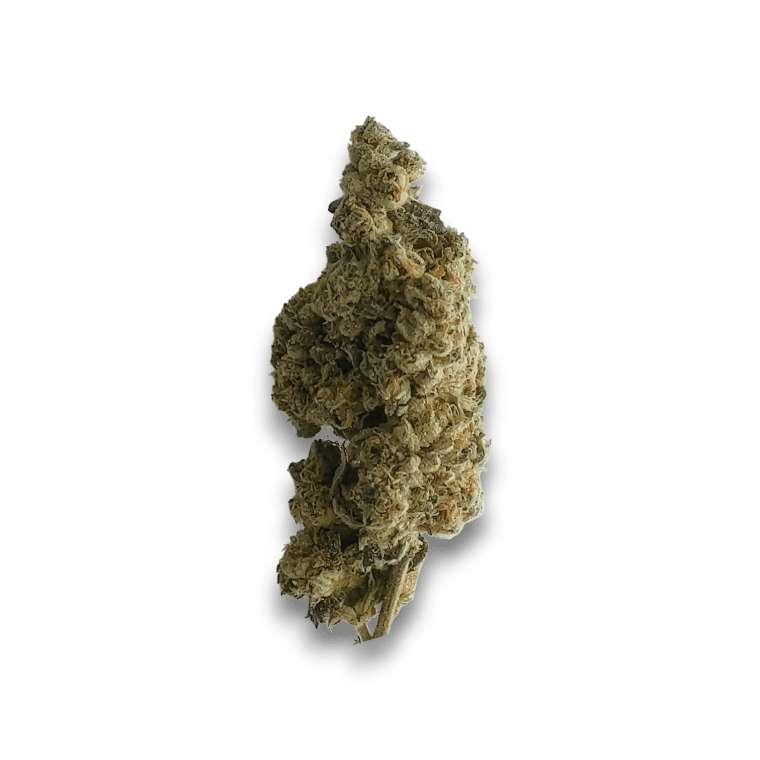 Med. Cannabis