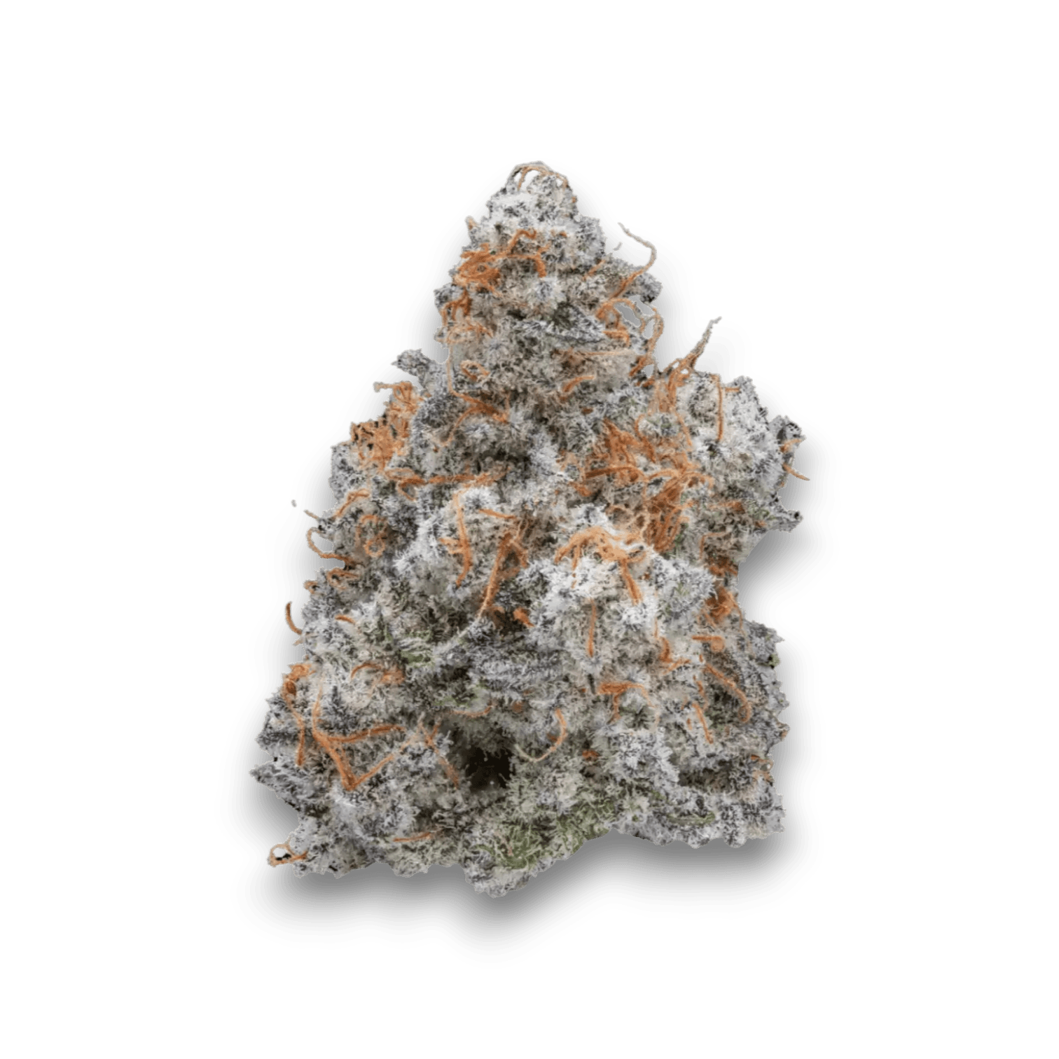 Med. Cannabis