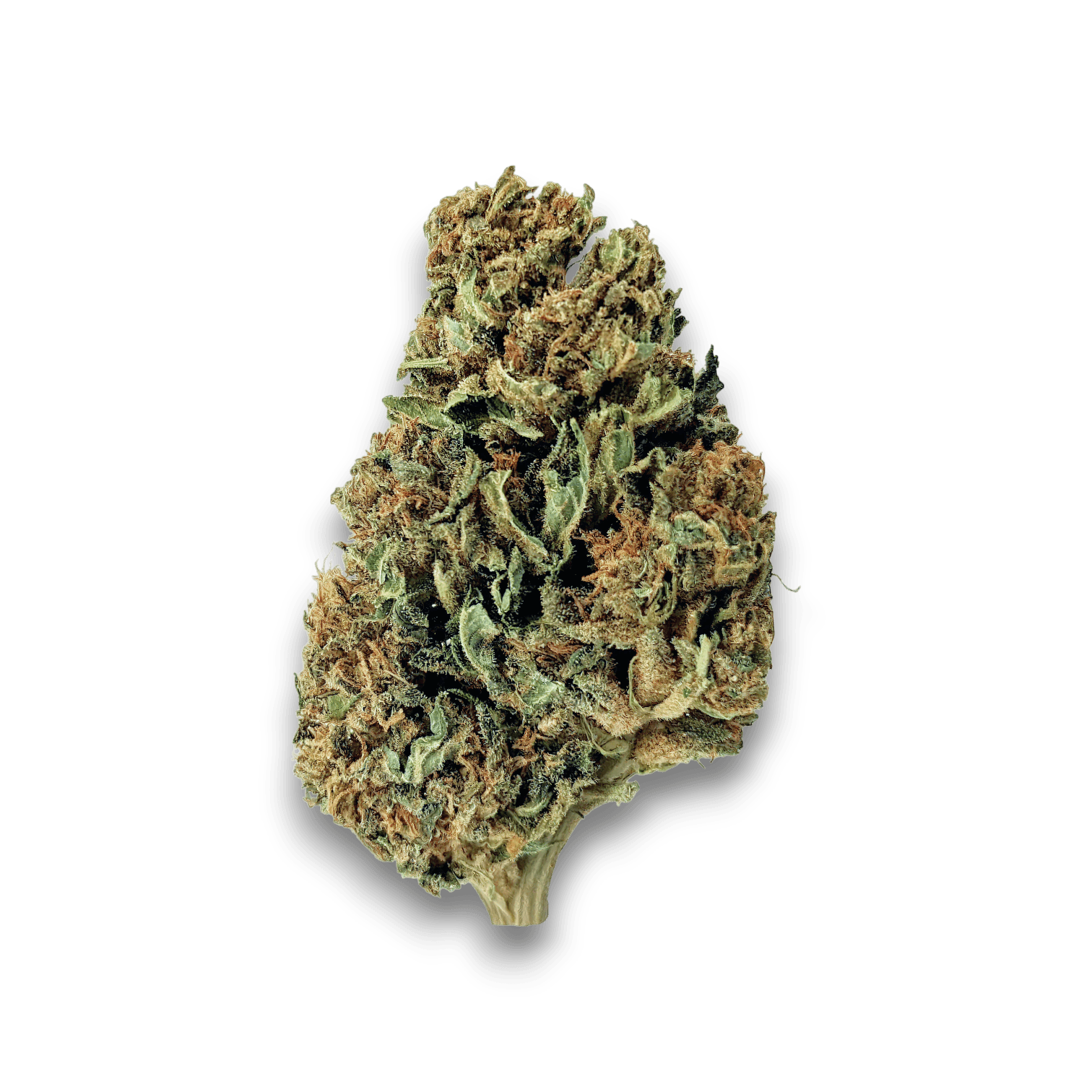 Med. Cannabis