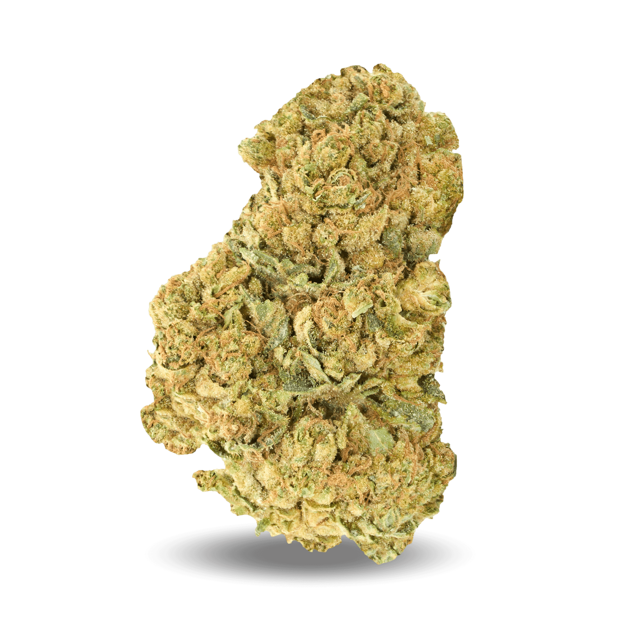 Good Supply Cannabisblüten THC25 BCR