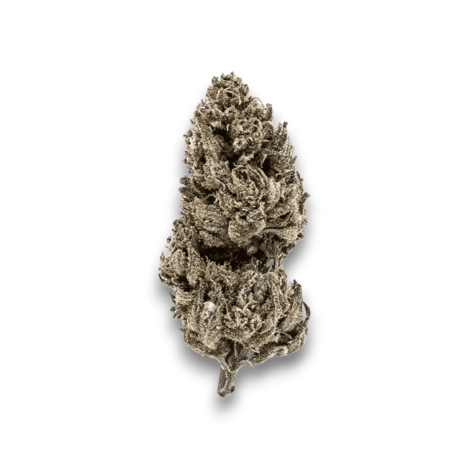 Med. Cannabis