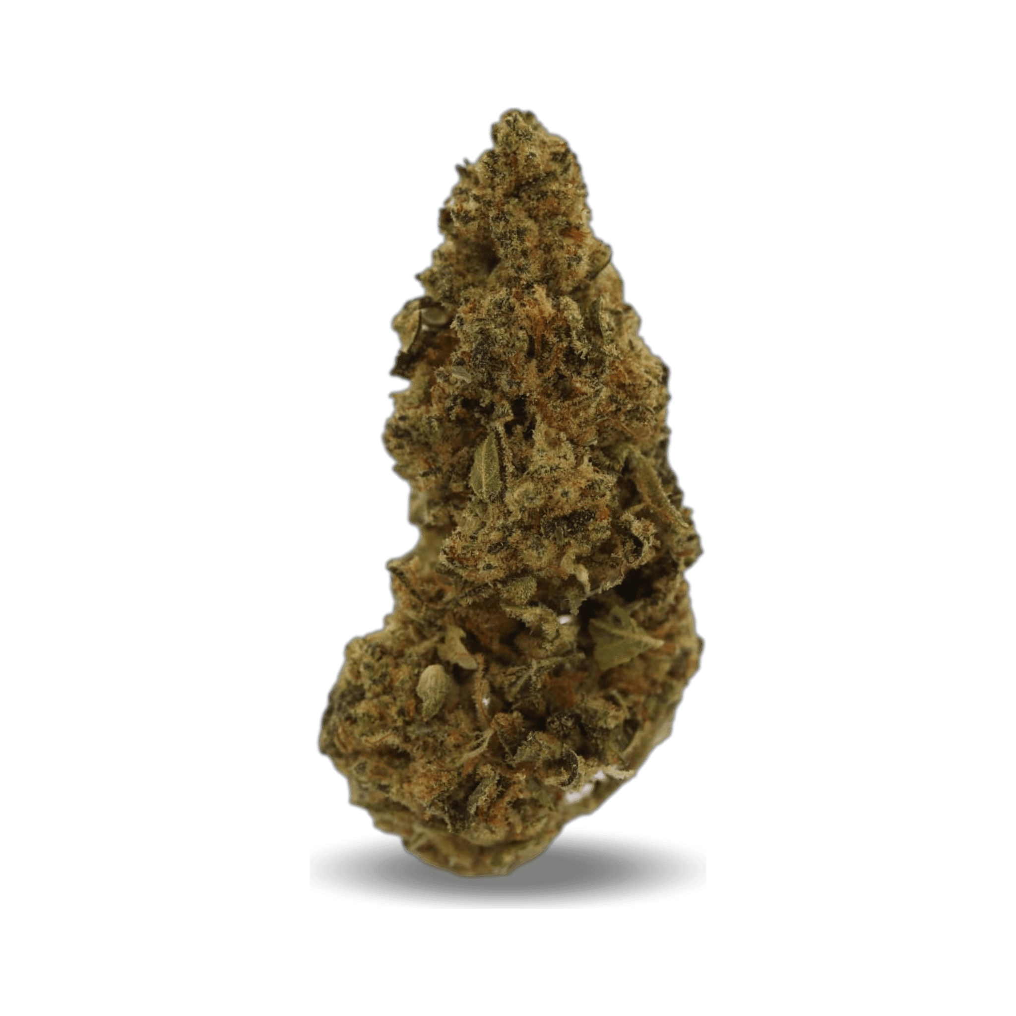 Med. Cannabis