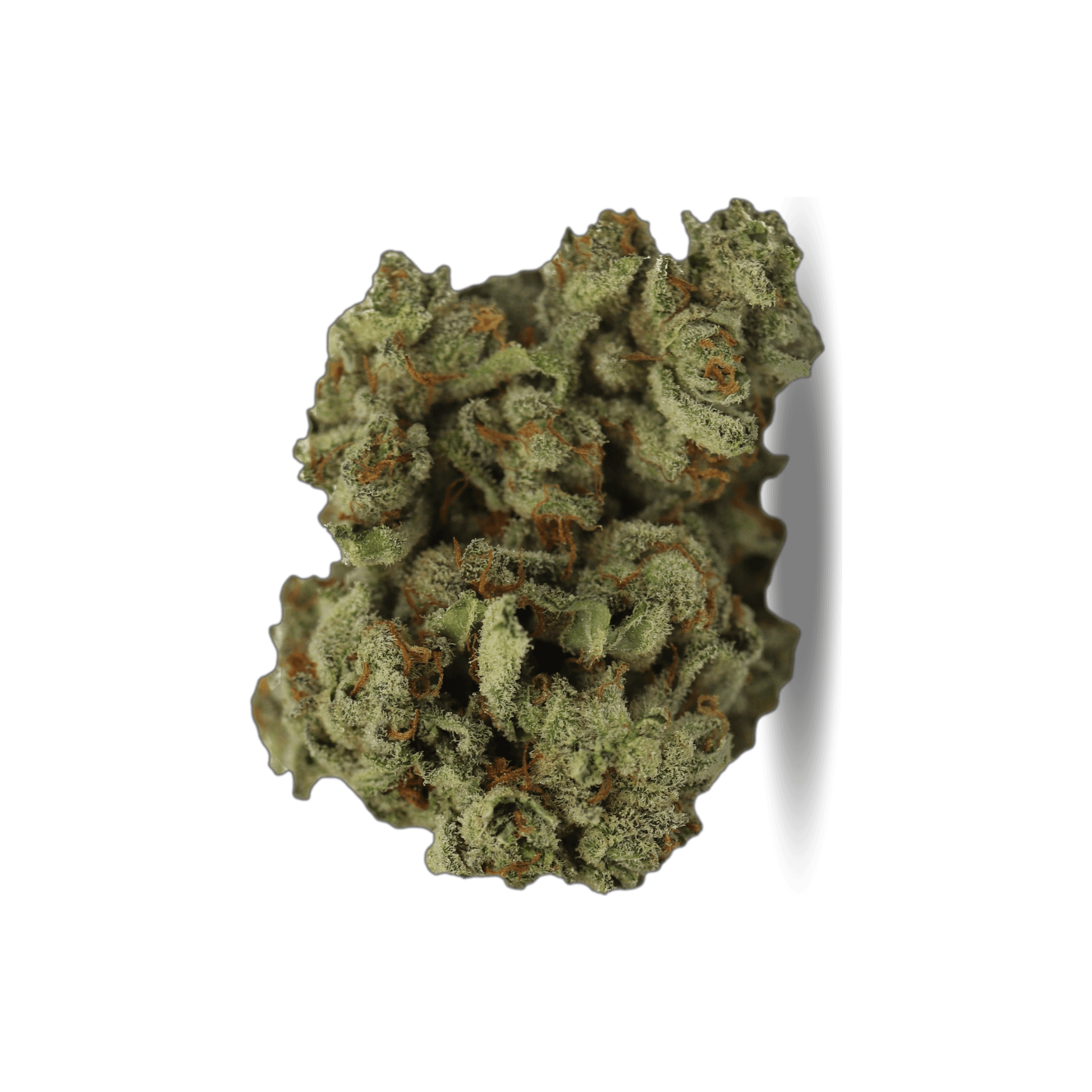 Med. Cannabis