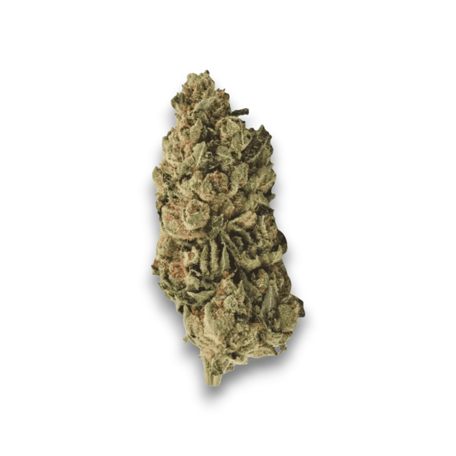 Med. Cannabis