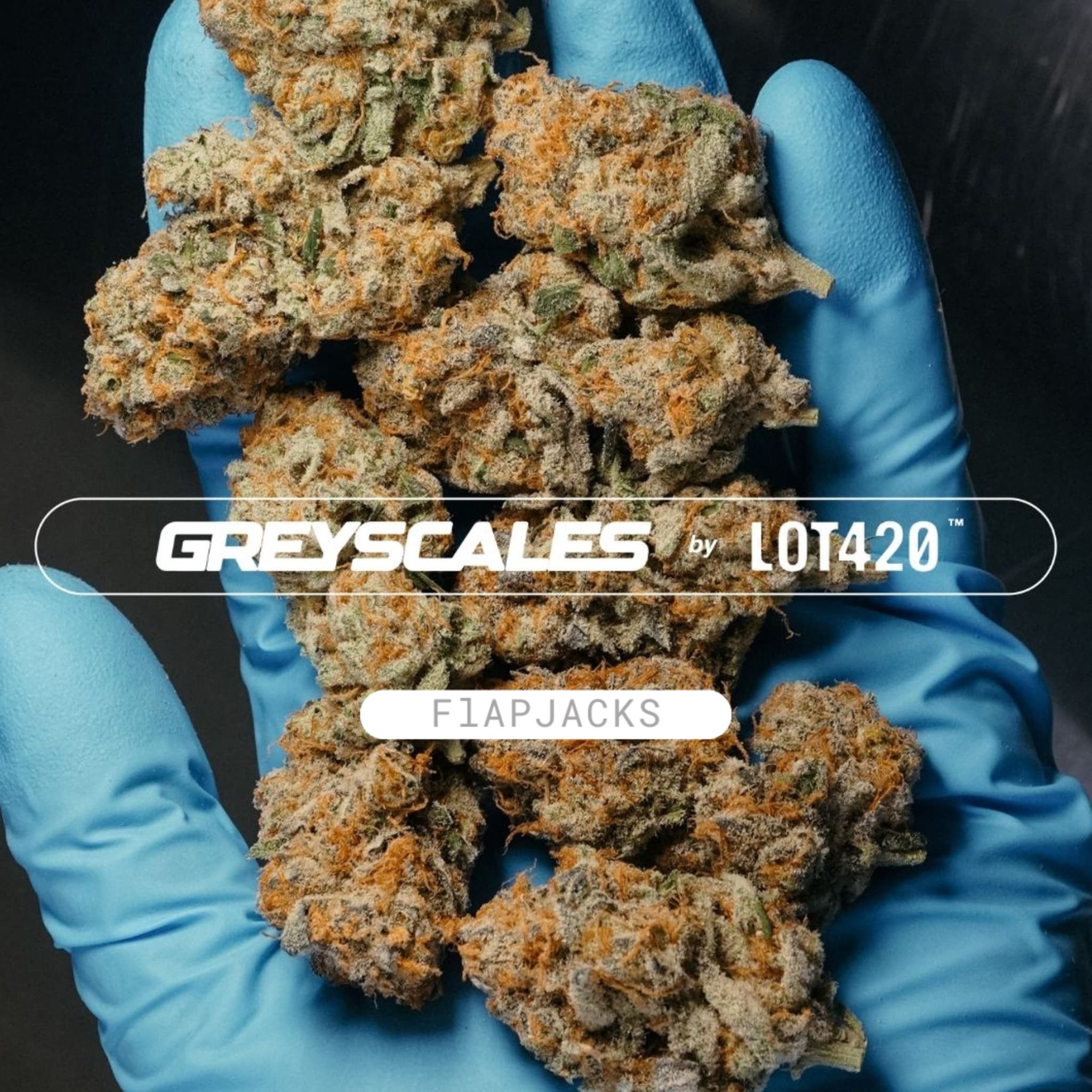 Greyscales FJ 26/1 Flapjacks