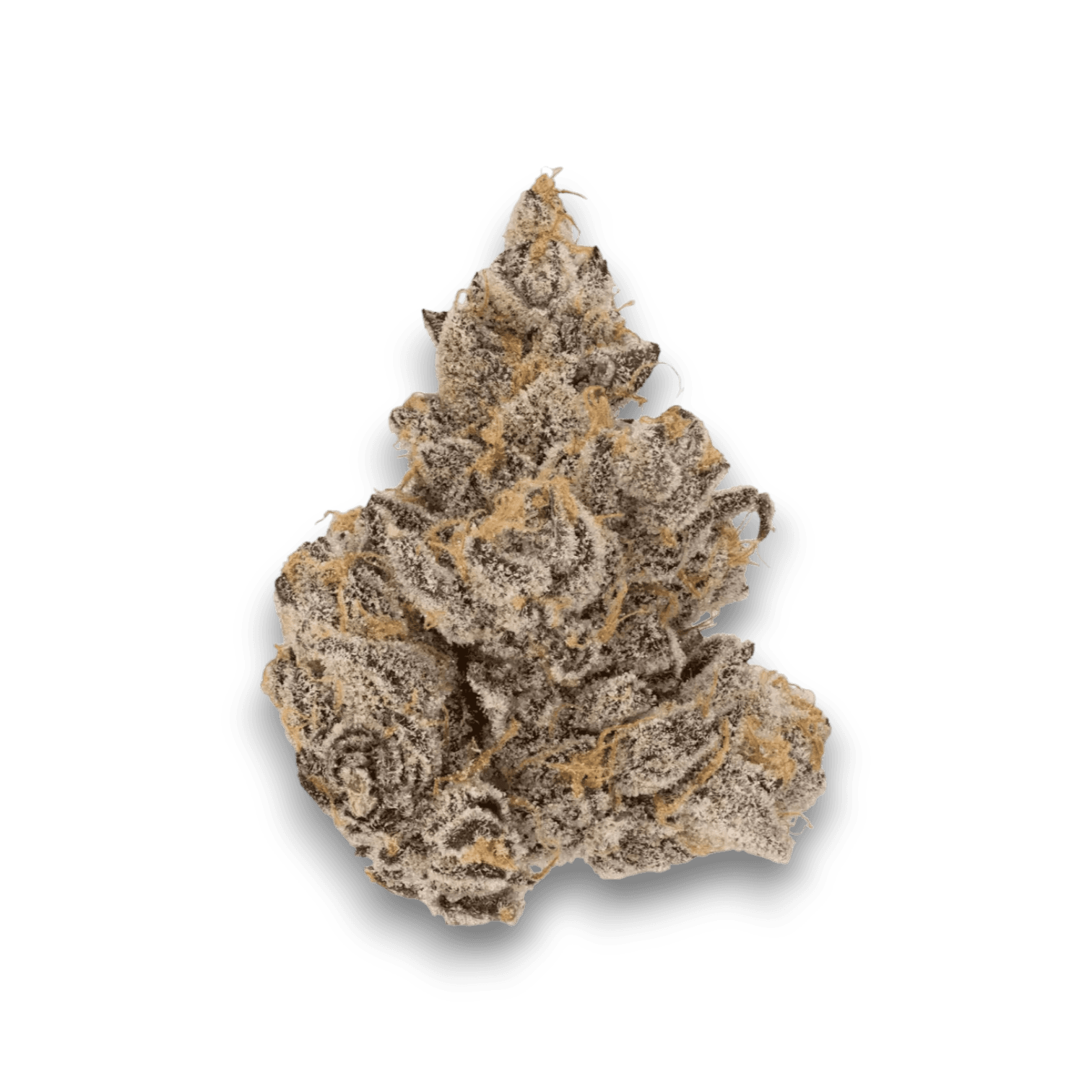 Med. Cannabis