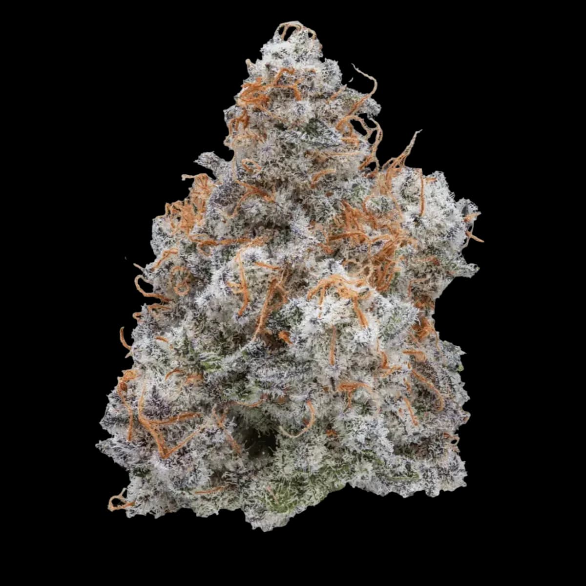 Med. Cannabis