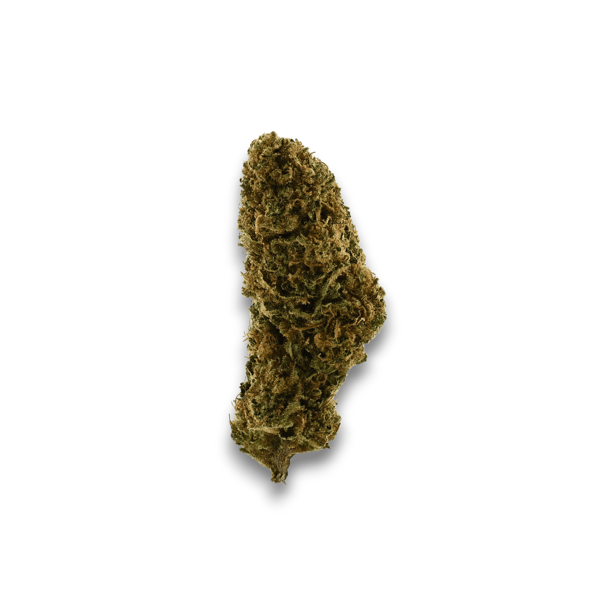 Med. Cannabis