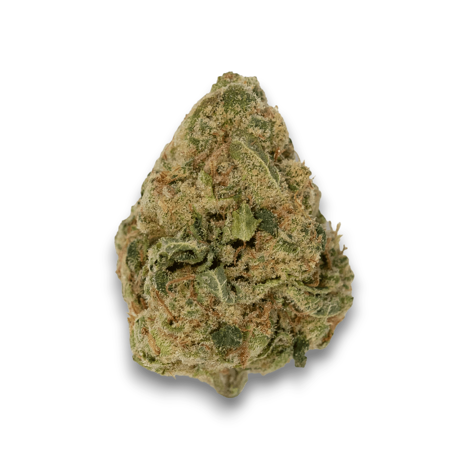 Med. Cannabis