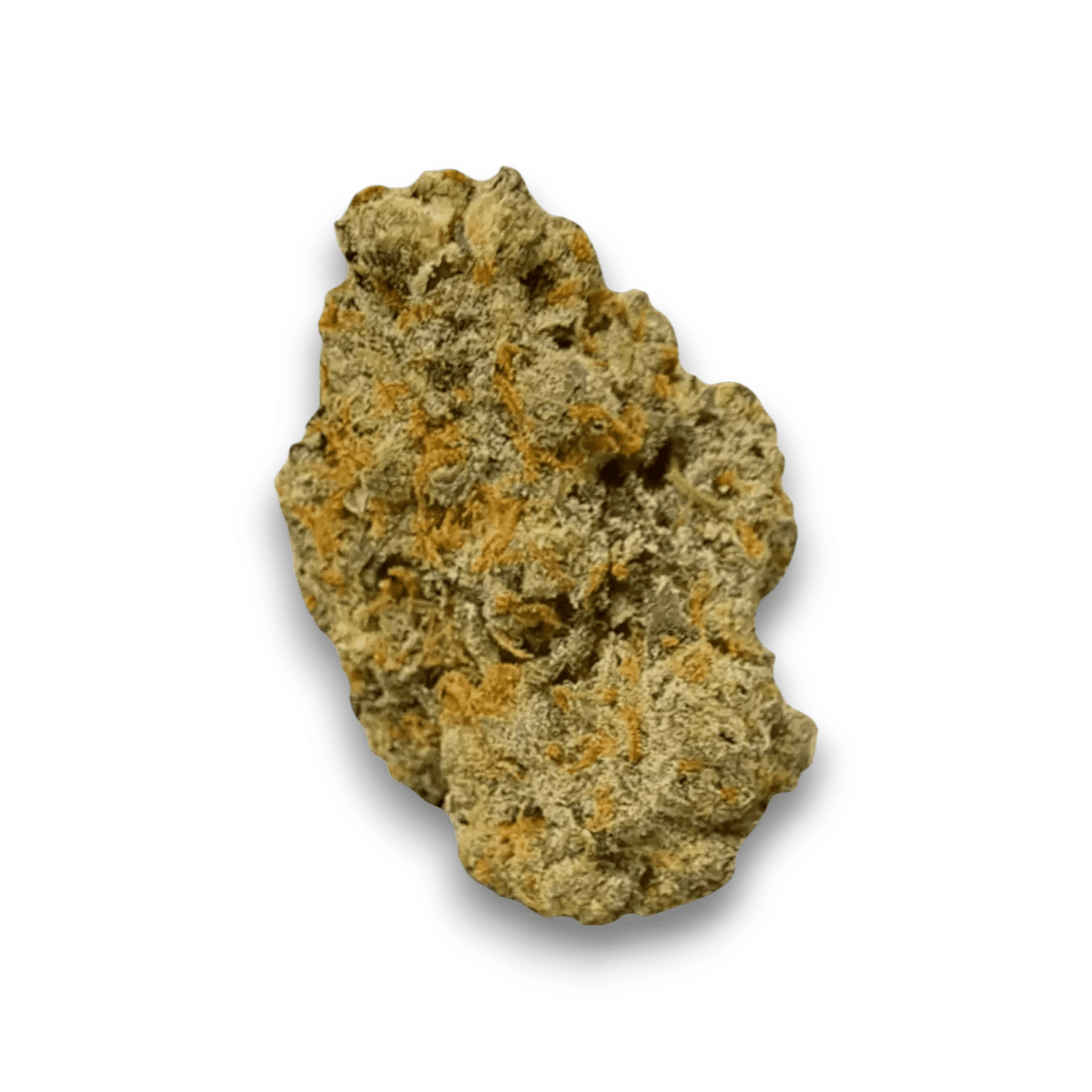 Huala 20/1 UK CIN - Cinderella Kush