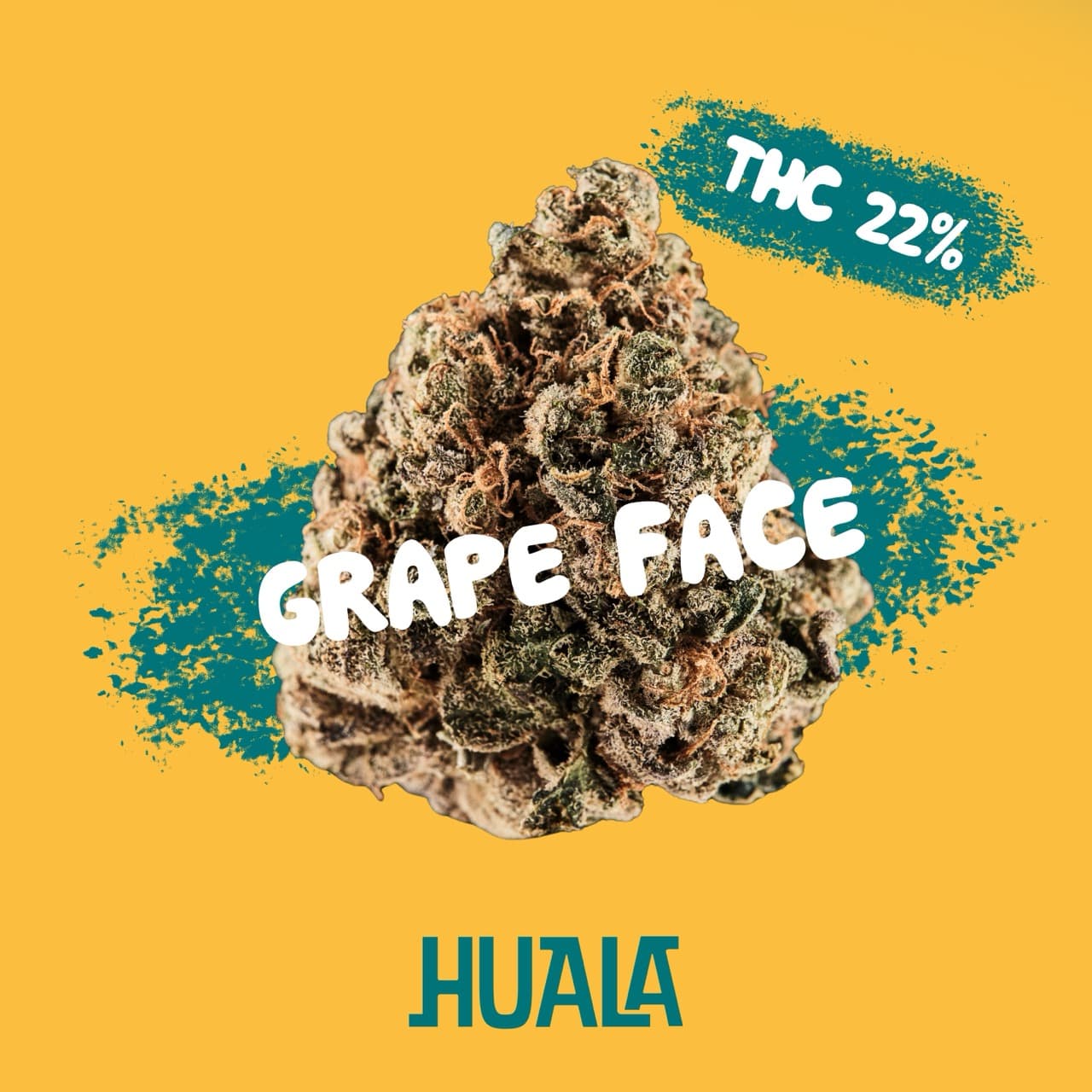 Huala 22/1 CA GRF
