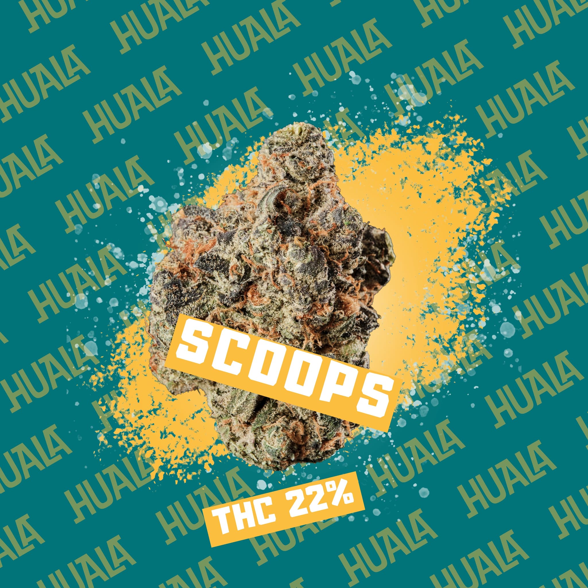 Med. Cannabis