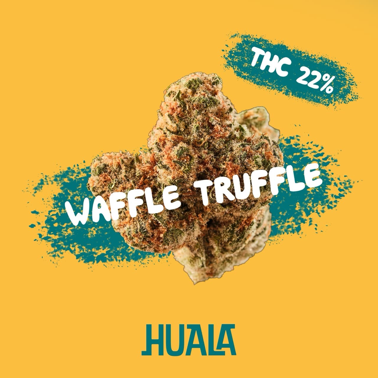 HUALA 22/1 UK WTR