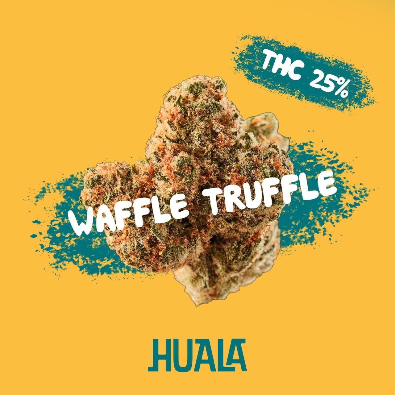 Huala 25/1 UK WTR