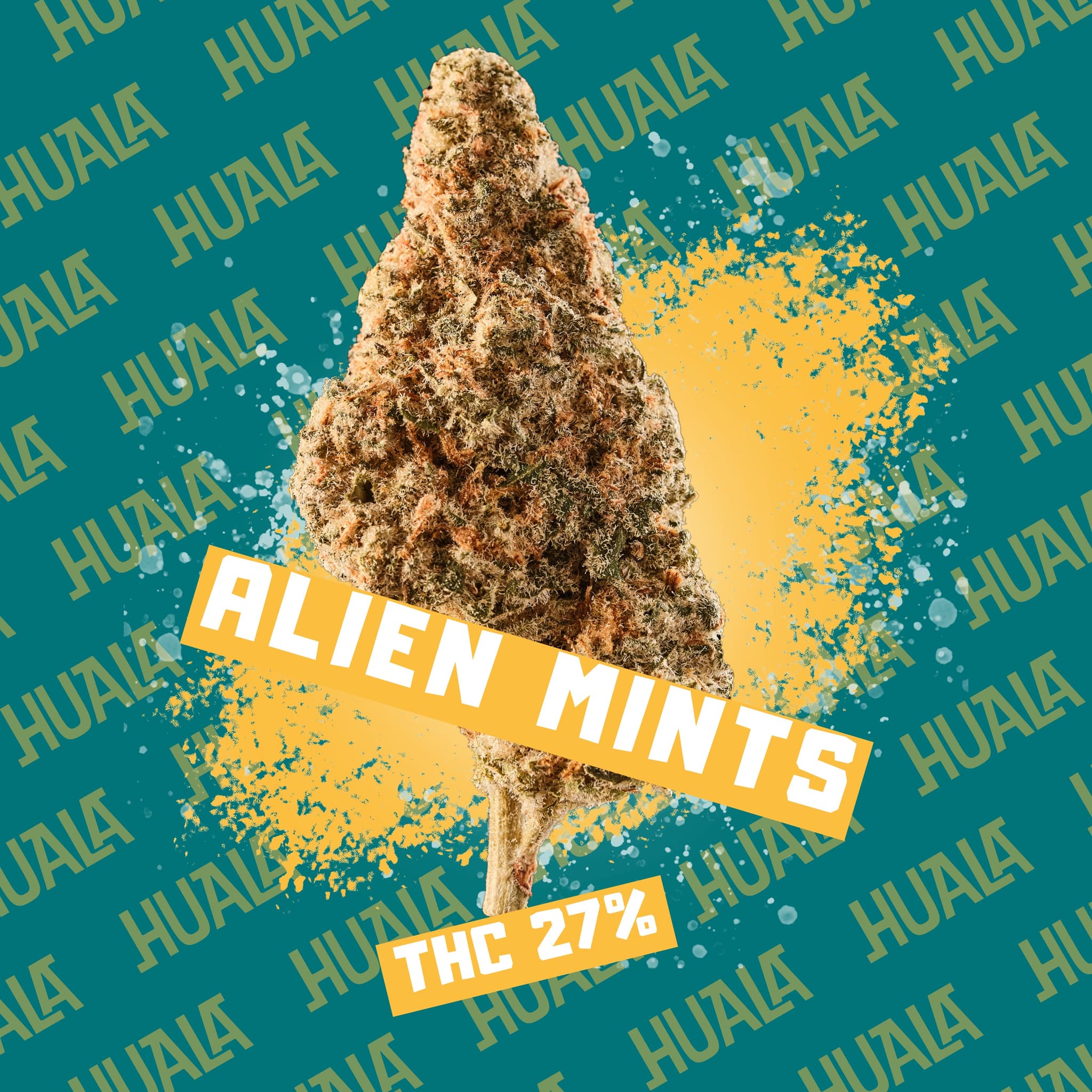 Med. Cannabis
