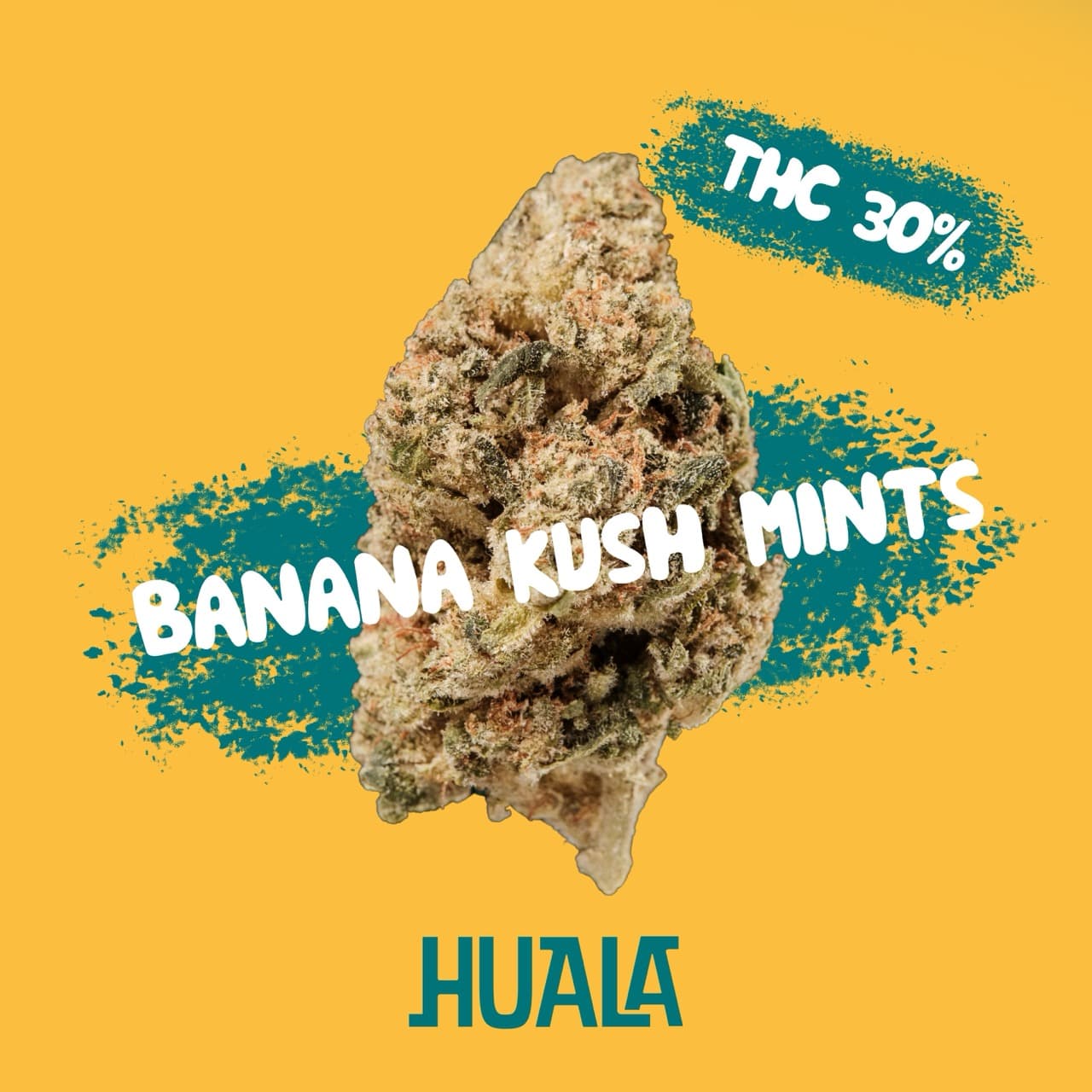 HUALA 30/1 CA BKM